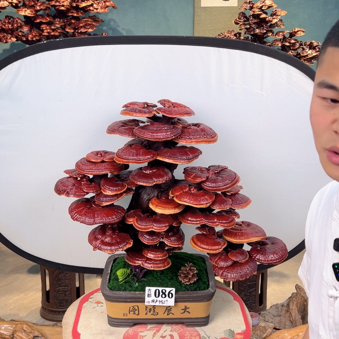 用***7无花朵888888888888