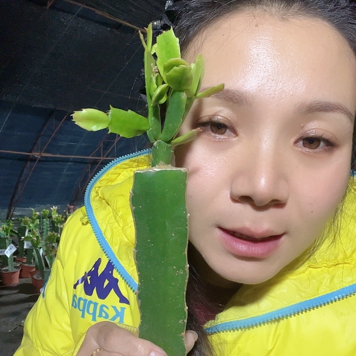 用***9完全开放3319。 索非亚