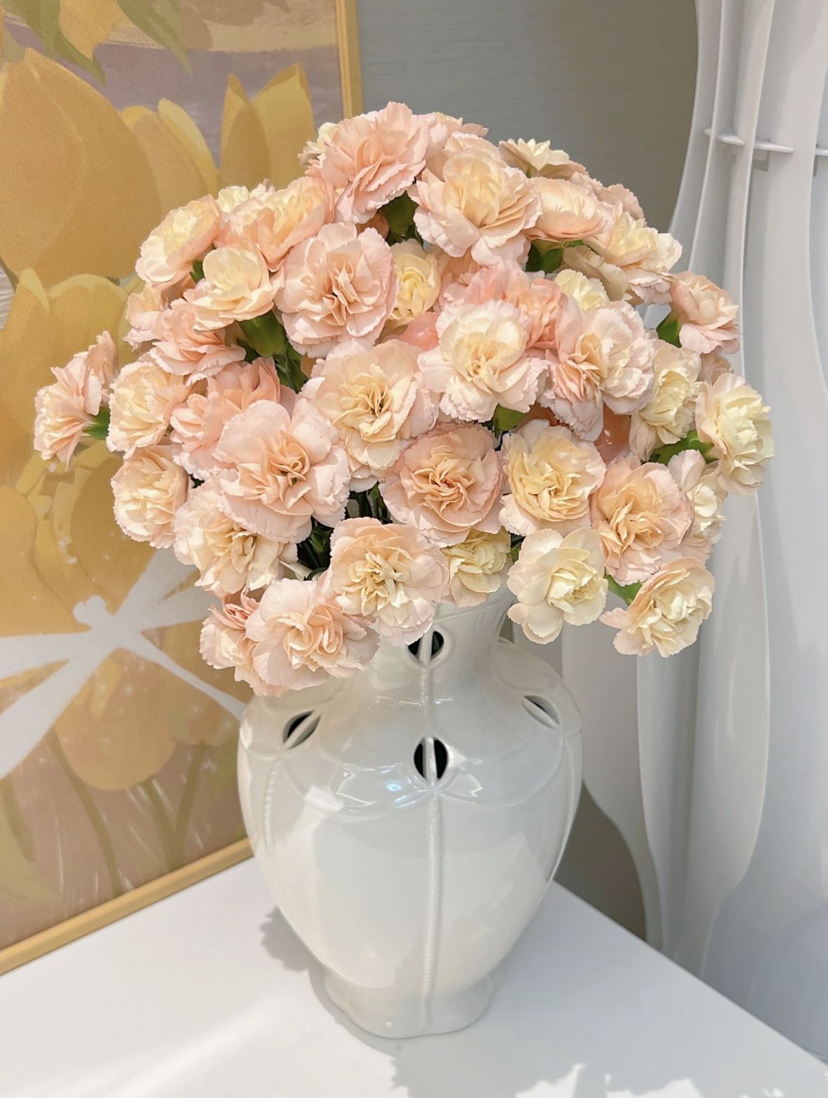 多头莫言康乃馨20支