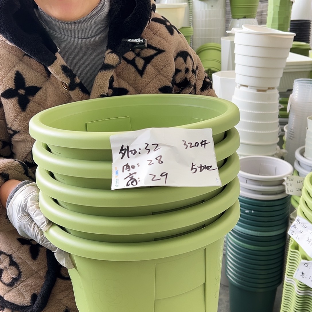 玫瑰320#果绿色5个无托