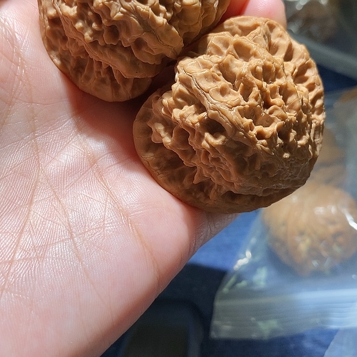 吊坠文玩核桃狮子毛