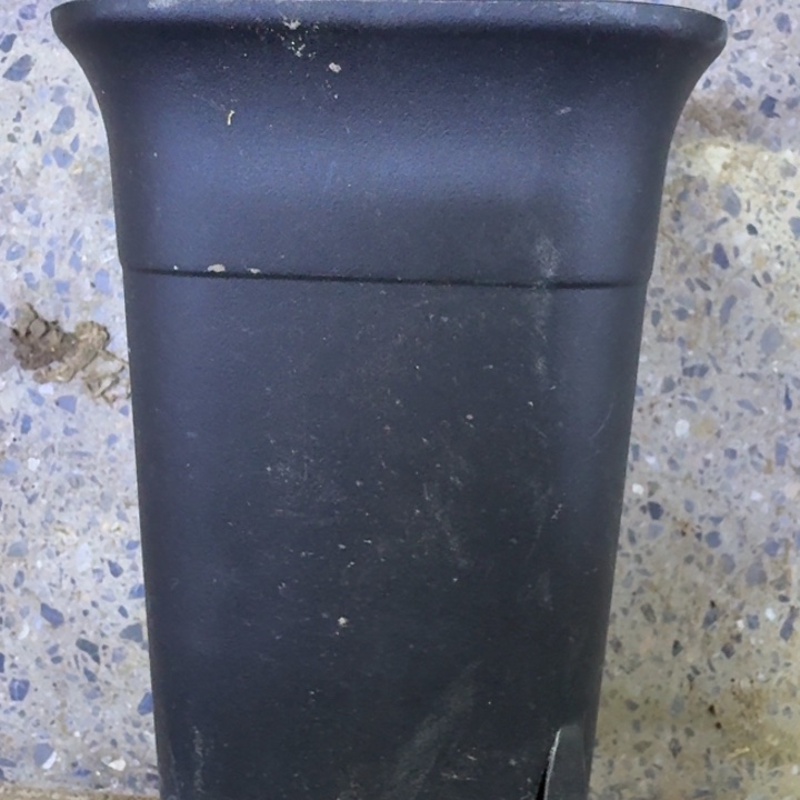 小黑万象方盆5个口径10公分左右无托盘，20包邮