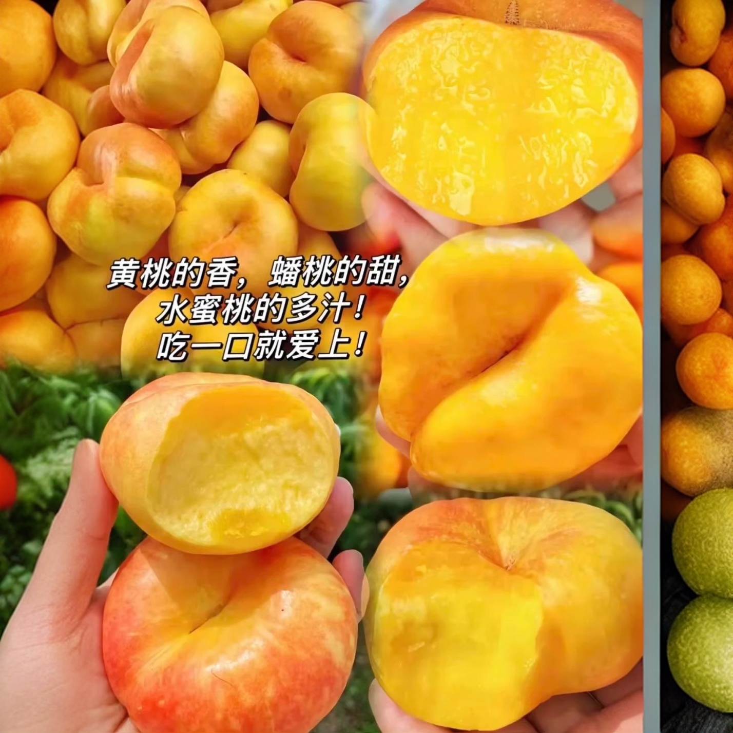 【顺丰包邮】黄油蟠新鲜水果当季整箱现摘水果孕妇脆桃油蟠桃扁桃