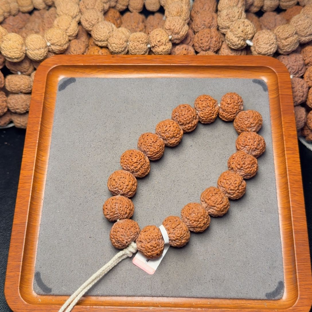 3号尼泊尔大金刚20五星蜂王菠萝蜜