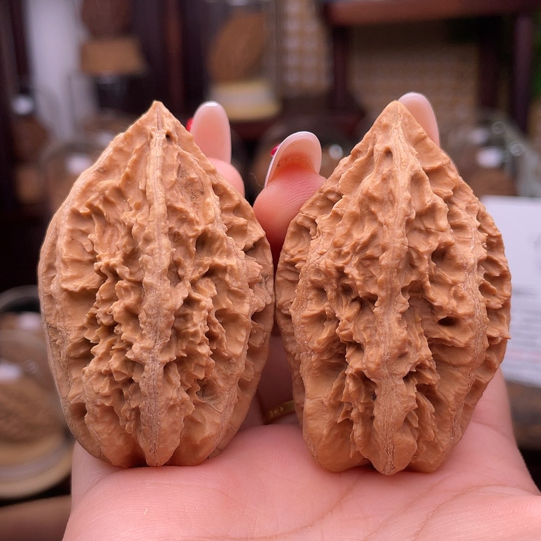 文玩核桃吊坠大蚂蚁纹