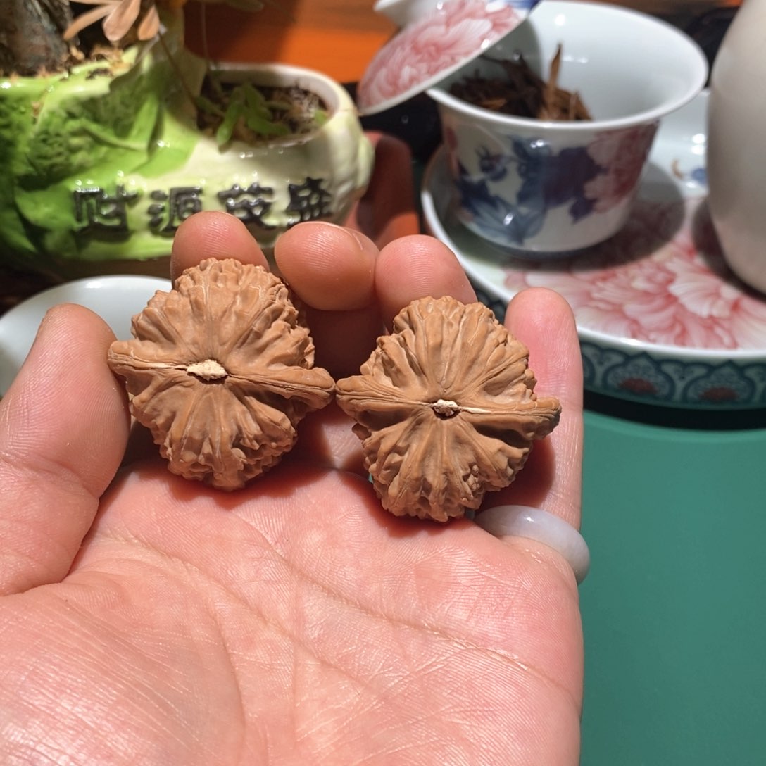 文玩核桃把件吕*龙38白狮子全品