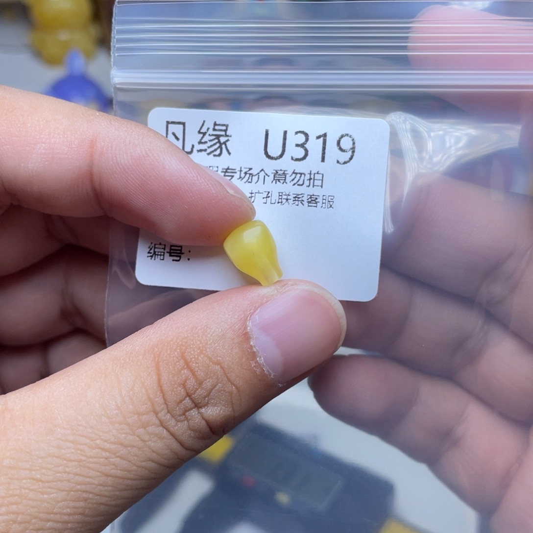 琥珀未镶嵌珠宝奇石