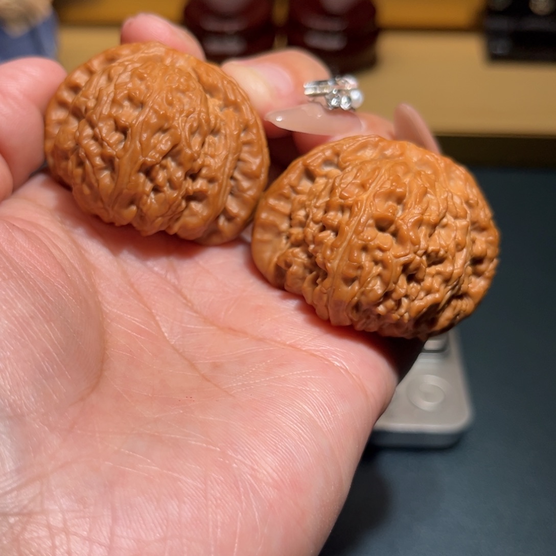 文玩核桃把件白狮41