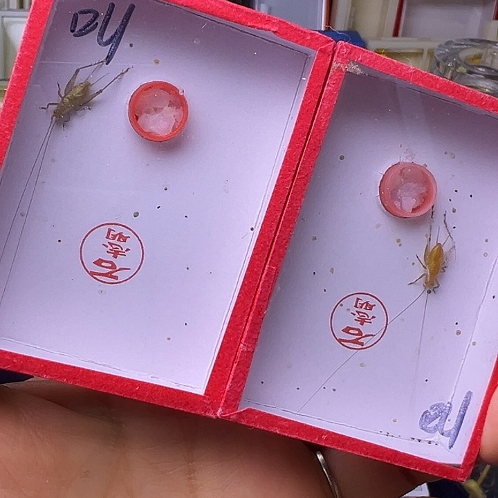 小***铛哈哈哈哈哈哈哈哈哈