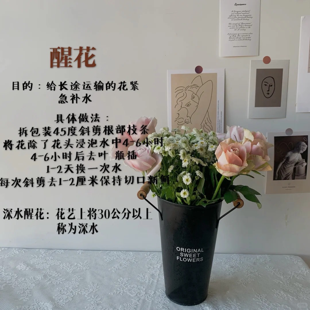 （曼曼）不选色香水百合20+10支防损鲜花任意   1单包邮