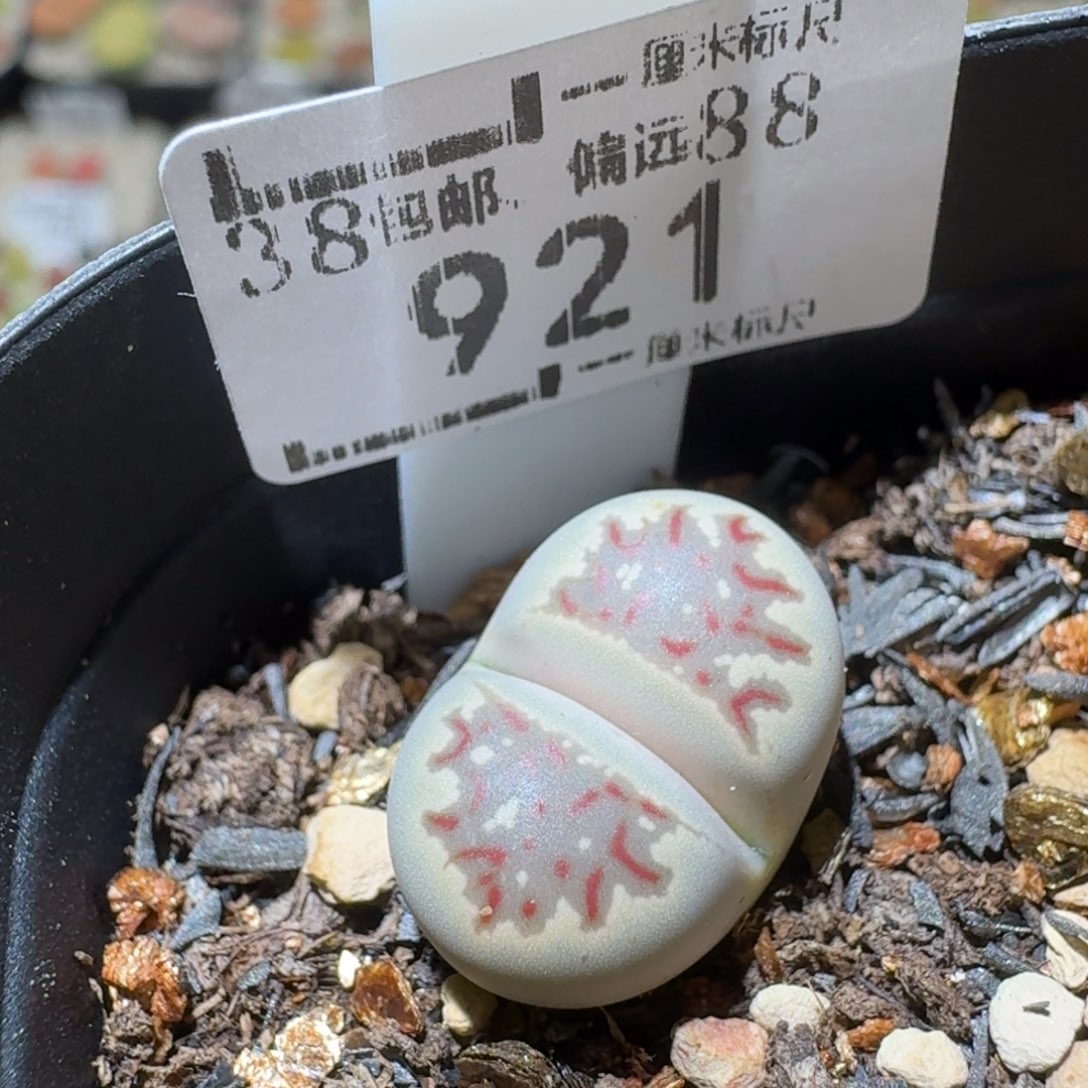 Sss清货了全便宜了921