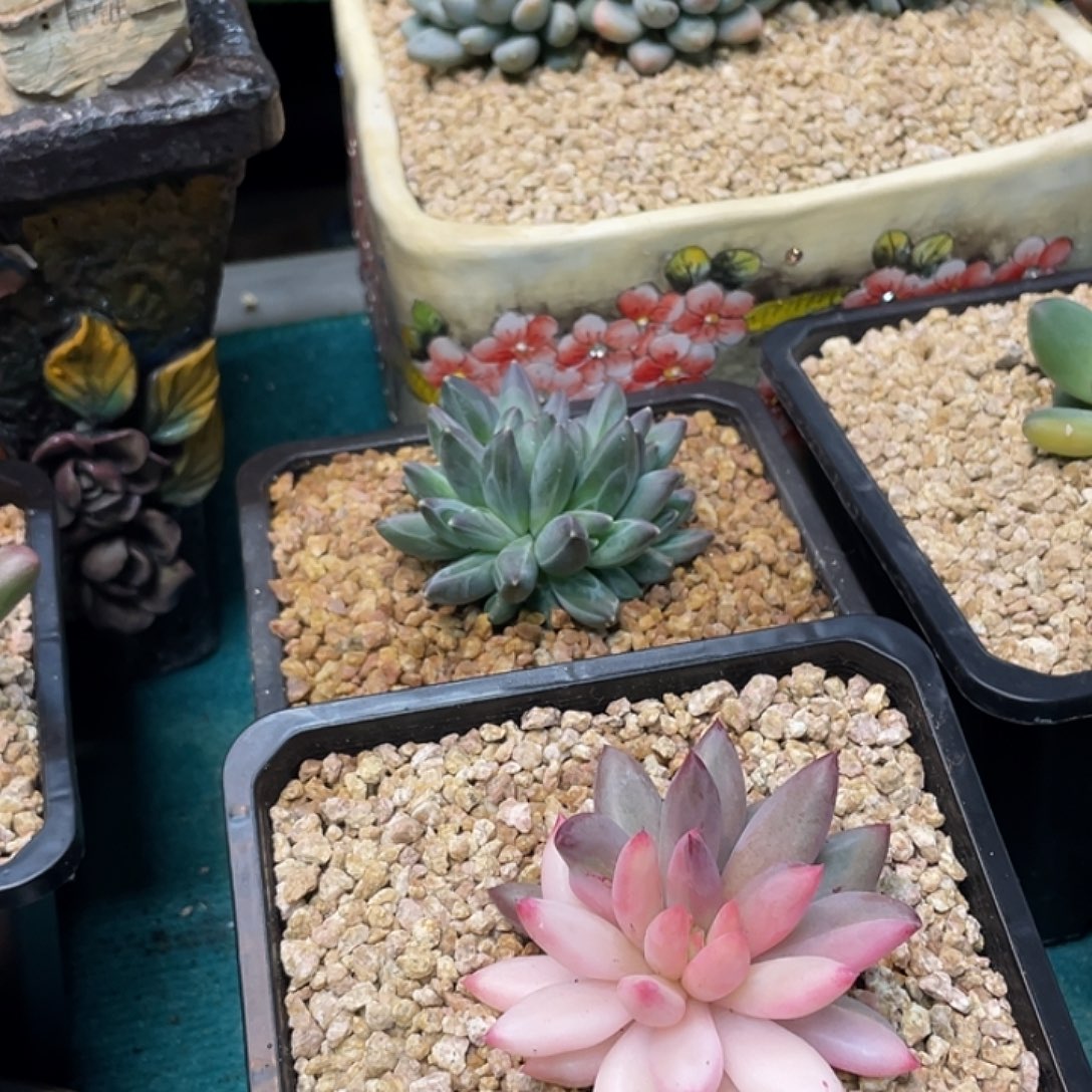 空*。这么样我就不会生气