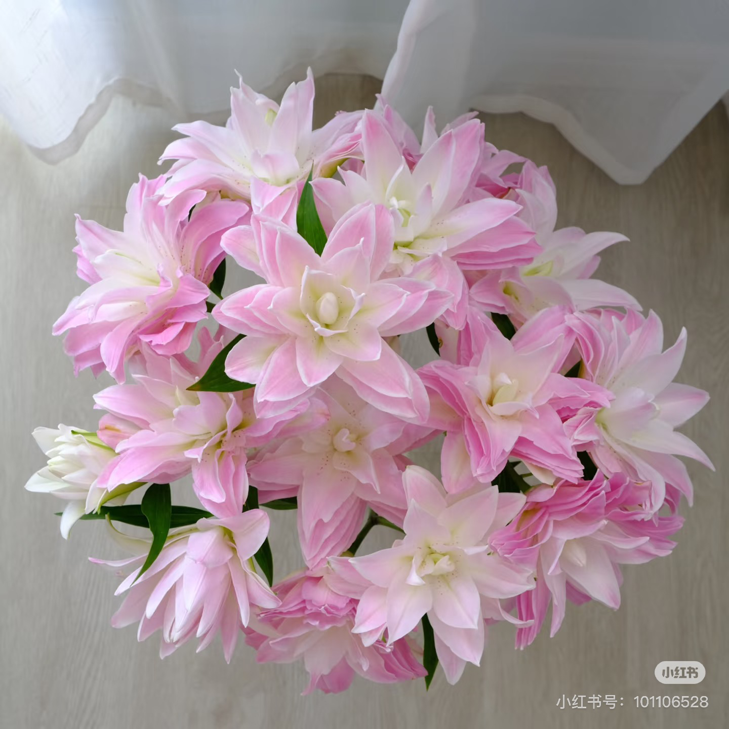 9号莲花皇后百合3头，我要买我不售后