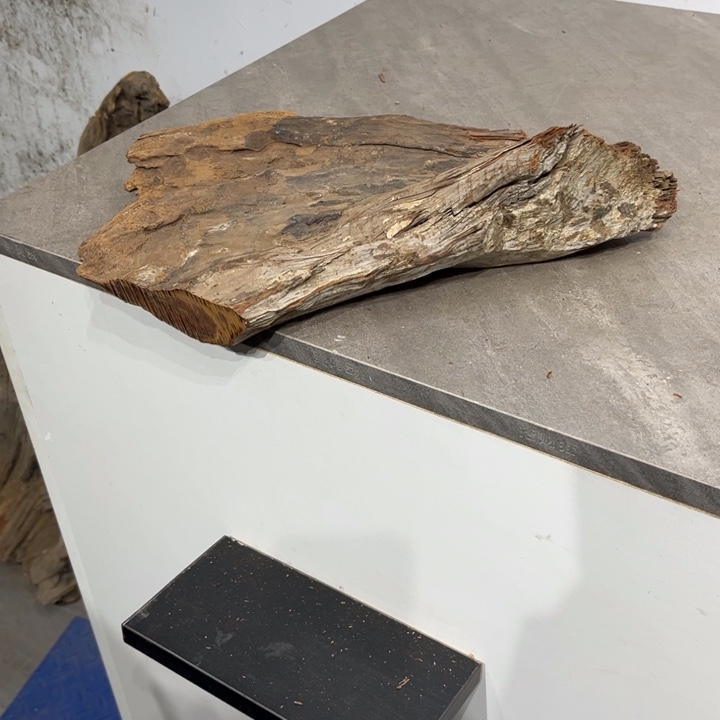 k***f柏木崖柏等自然景和自然景