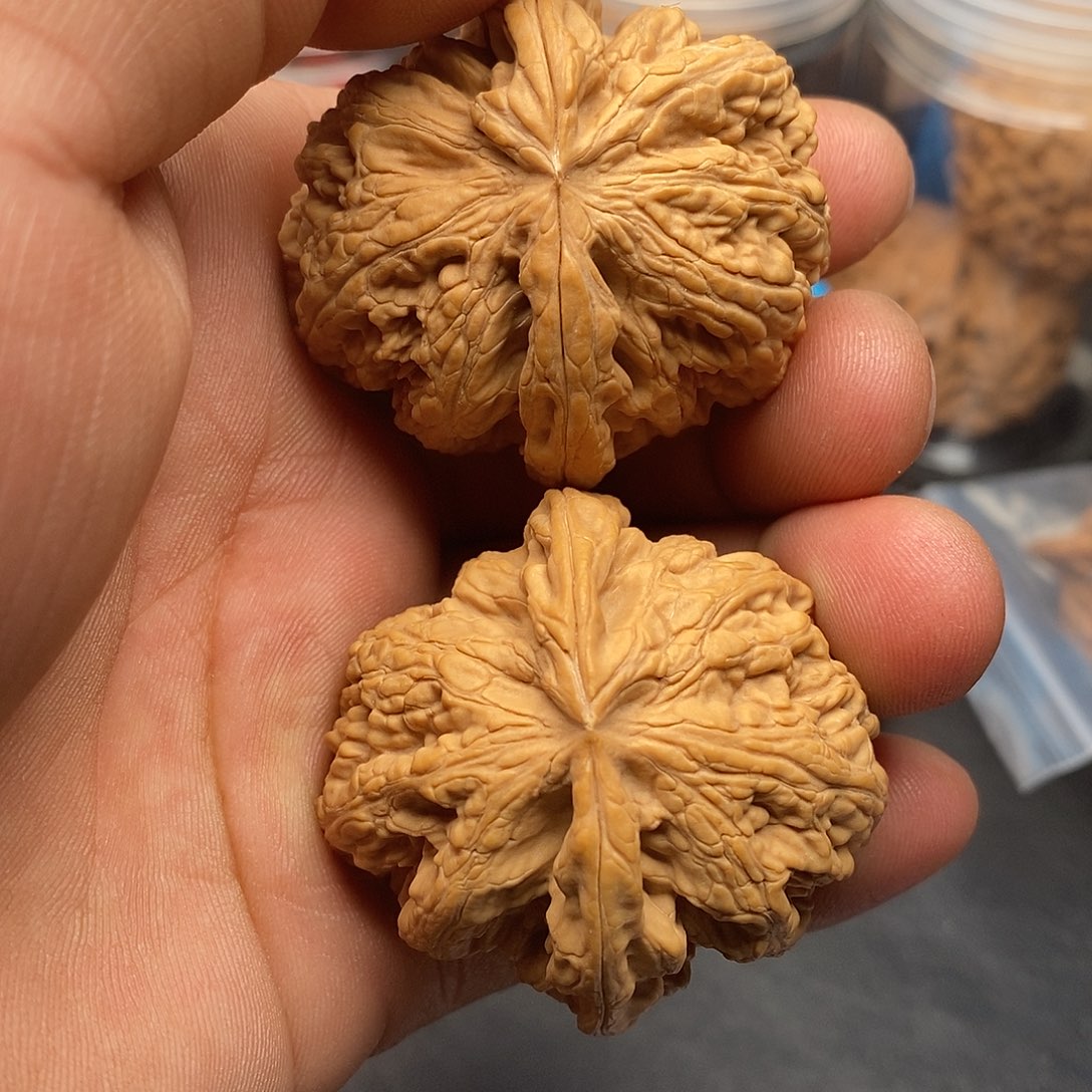 文玩核桃把件转*45粗筋全品