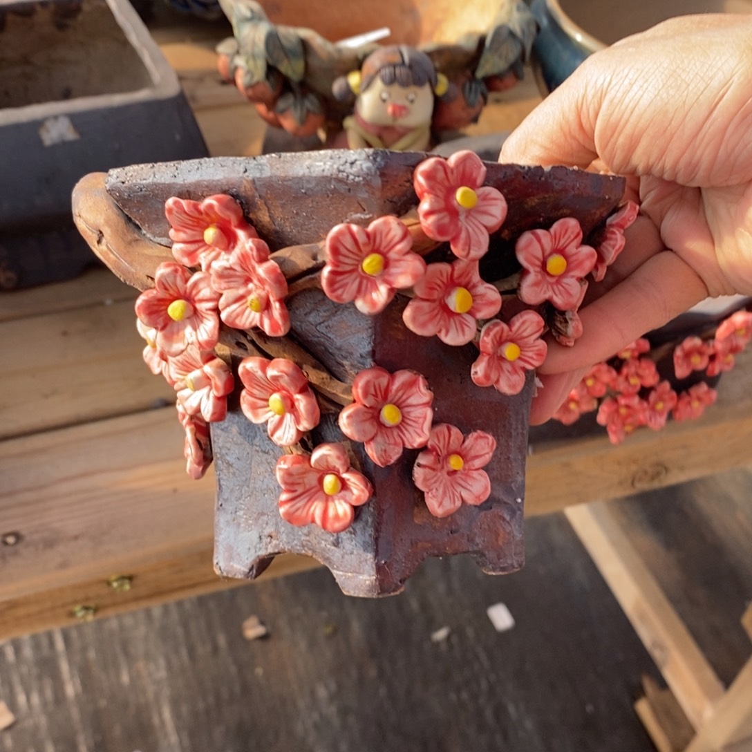 103号多肉盆口径11