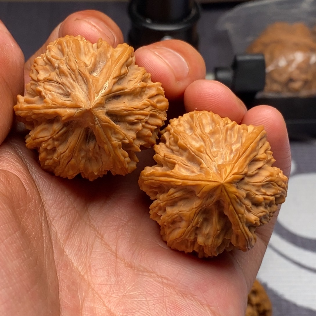 文玩核桃把件转圈37尺御龙粗筋正奔三棱