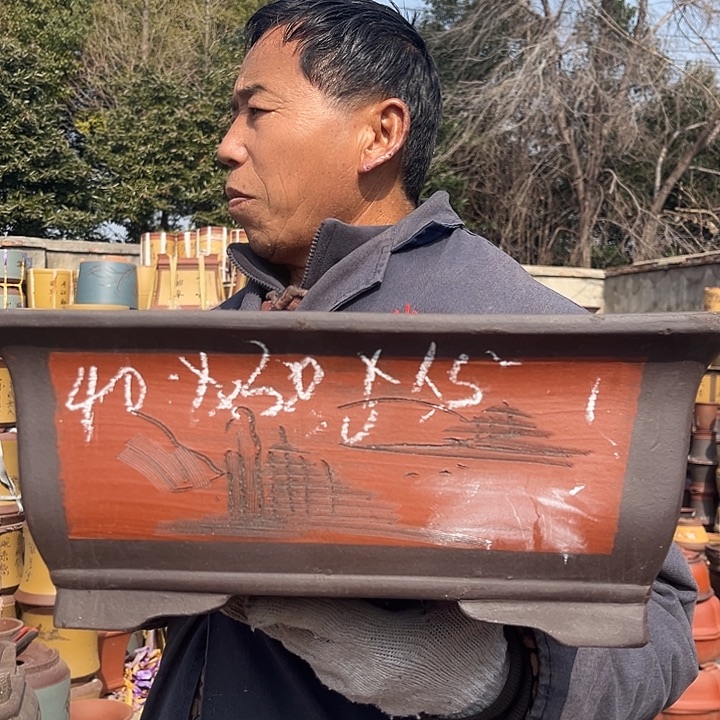 紫砂紫砂花盆盆栽