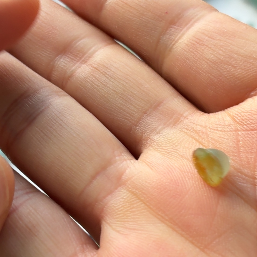 定制翡翠未镶嵌莲花