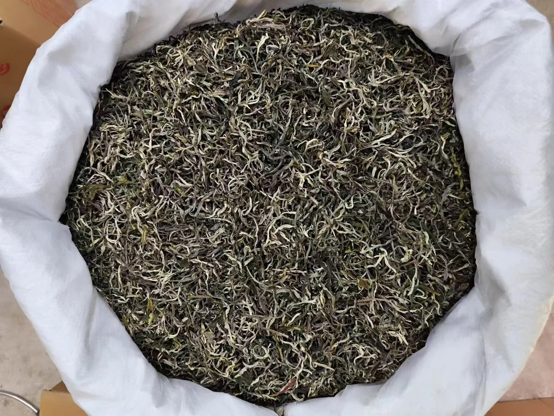 云南春尖绿茶罐罐茶高香春尖壹