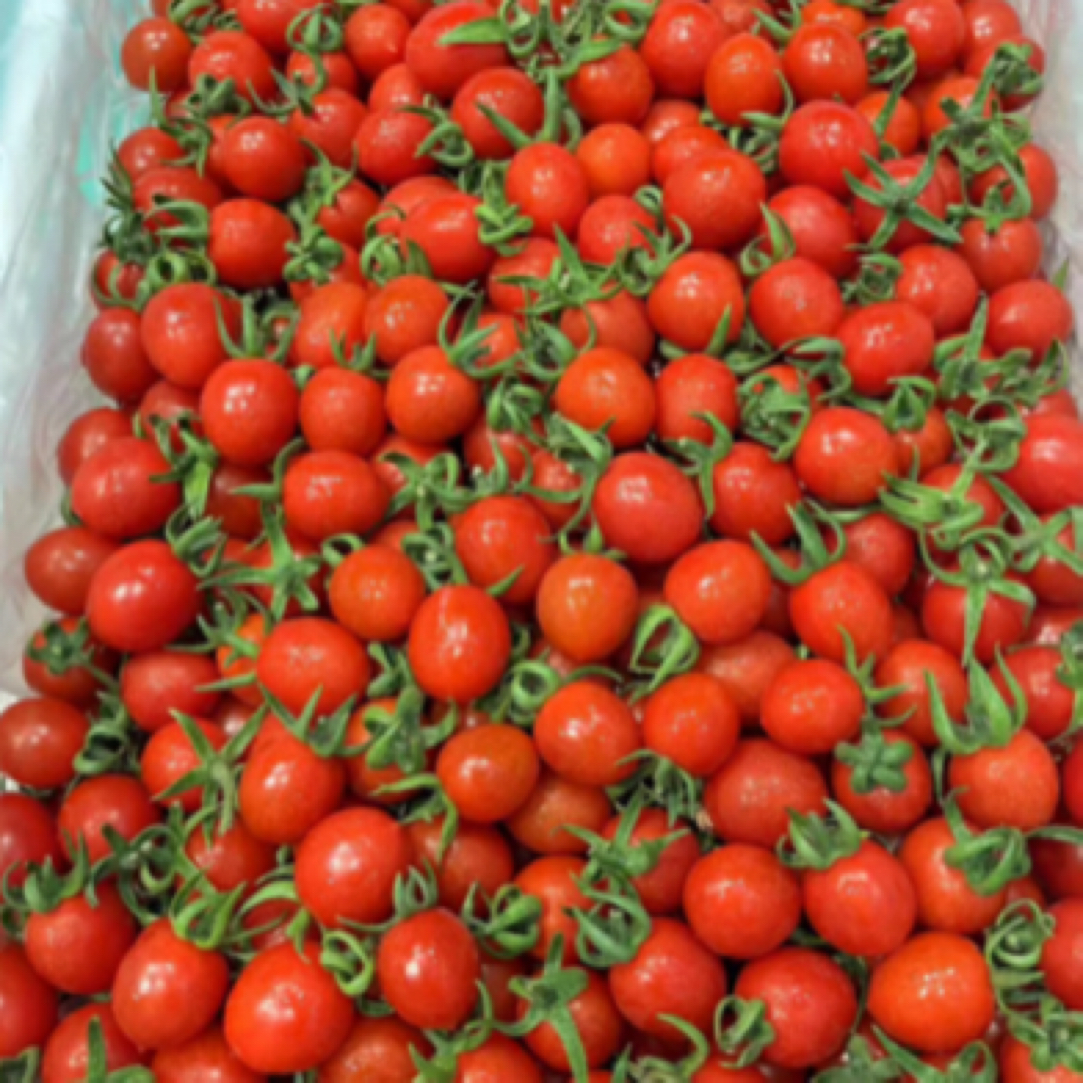 千禧小甜甜一盒500g千禧圣女果