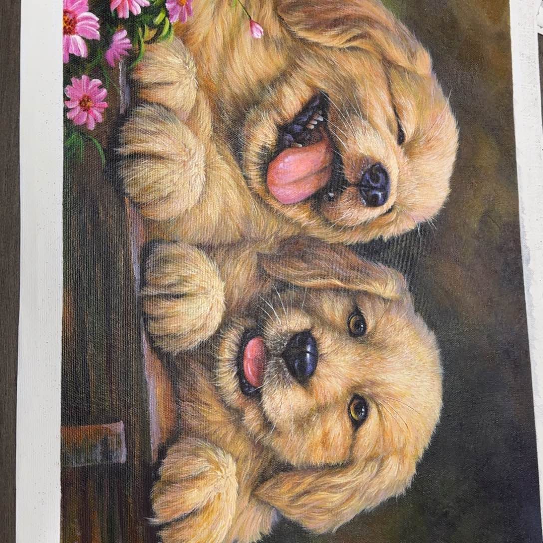 油画优惠活动开始了