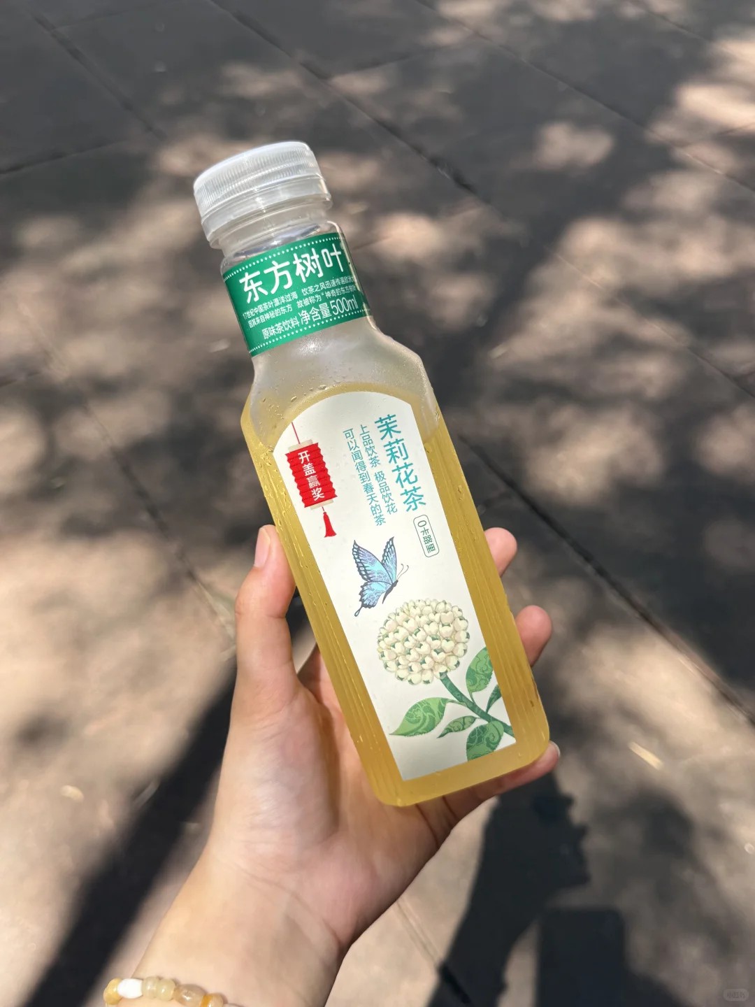 推荐系列（东方树叶叶夏日必备