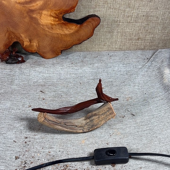 王***群崖柏崖柏黑骨料无相