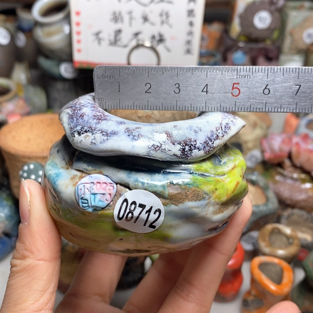 花盆拍1送一个小礼物