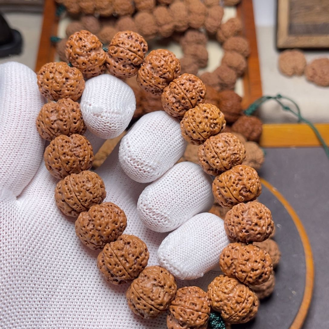 金刚菩提手串古龙纽扣梅花双龙头货18+