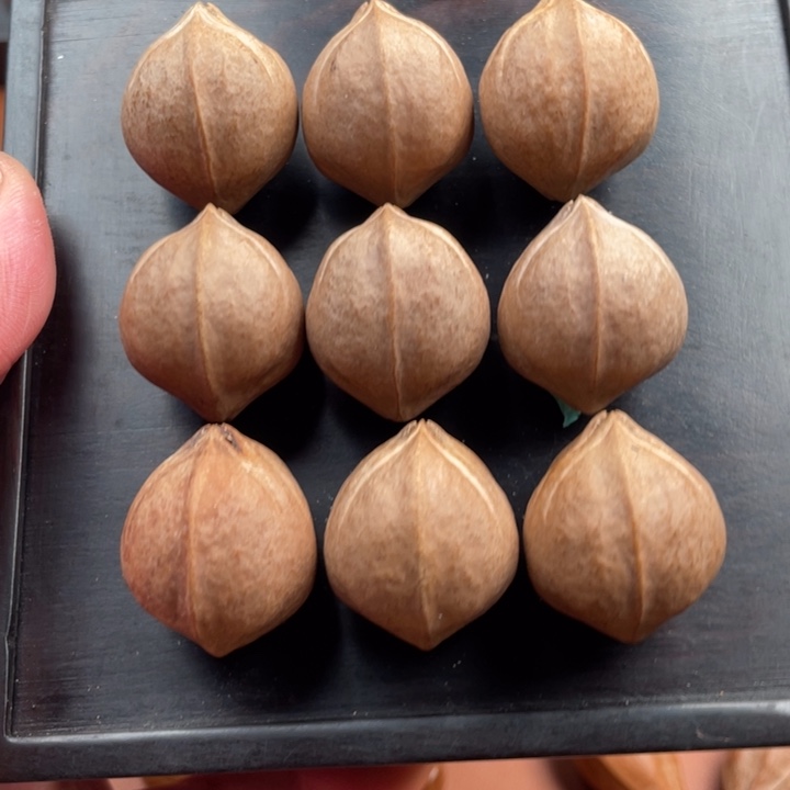 小***官手串/手链橄榄核23/28 三花铁核