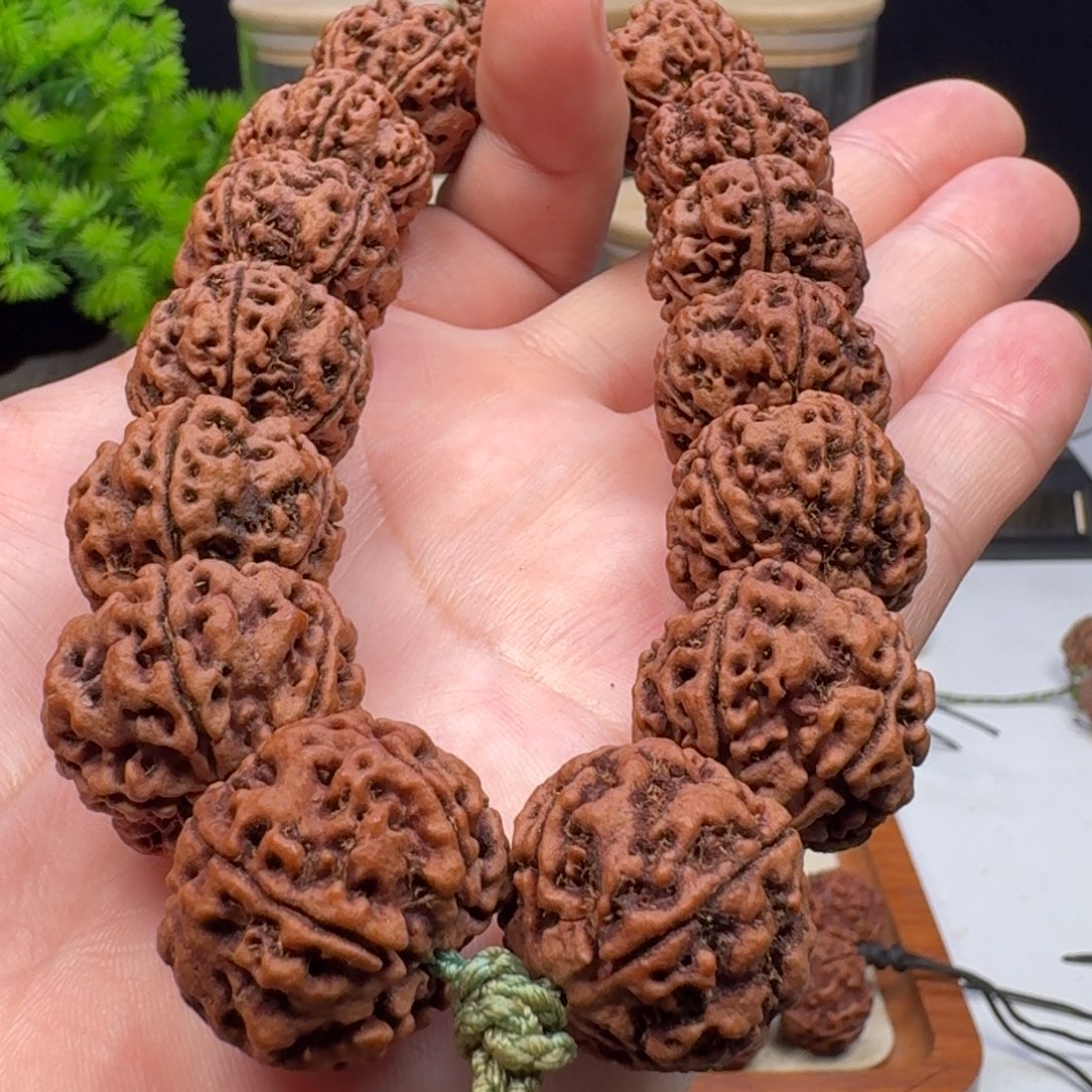 手串金刚菩提铁籽梅花双龙