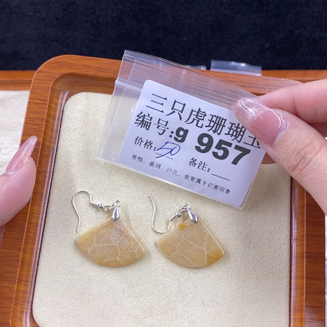 硅化珊瑚（珊瑚玉）未镶嵌1原*