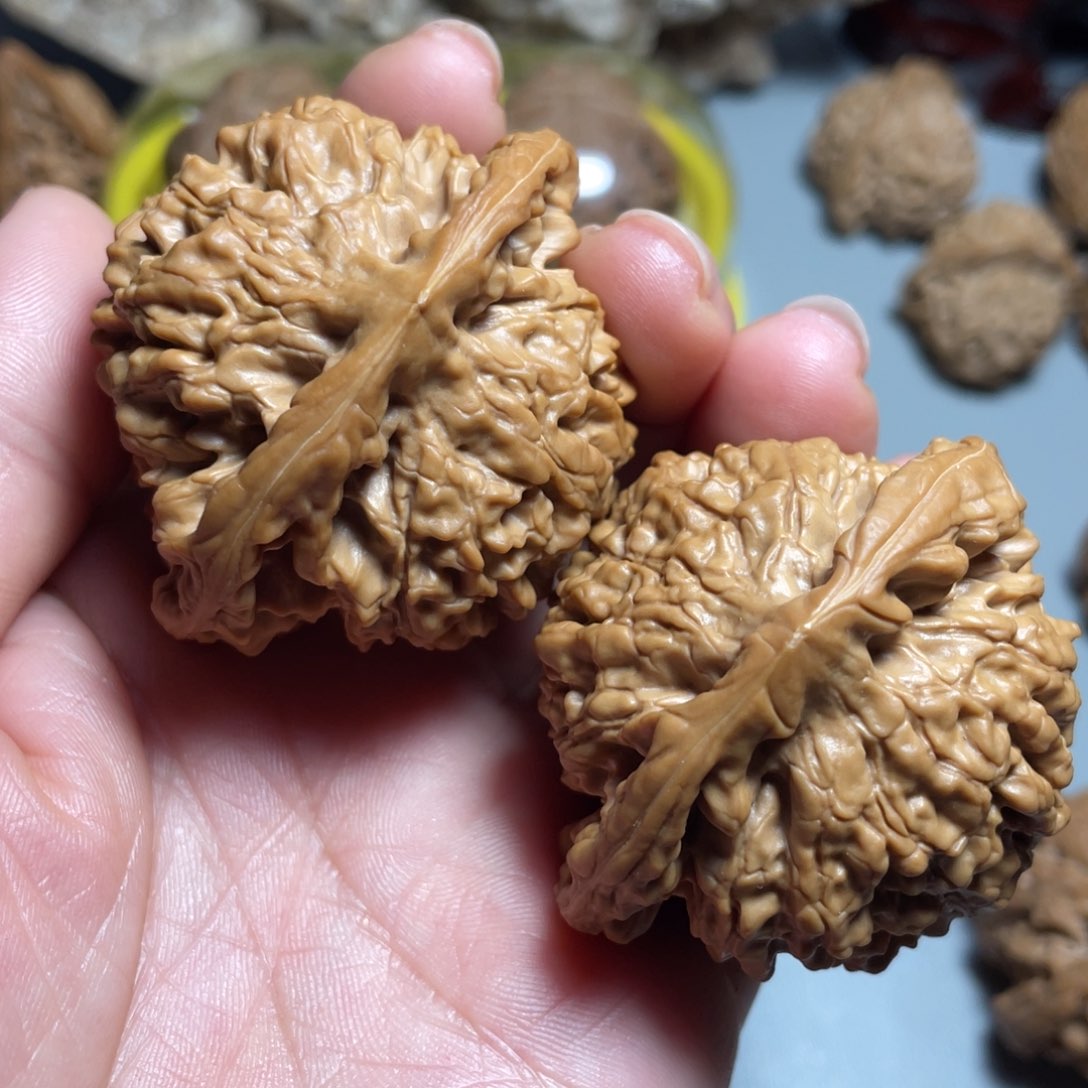 核桃手串/手链精品官帽51加