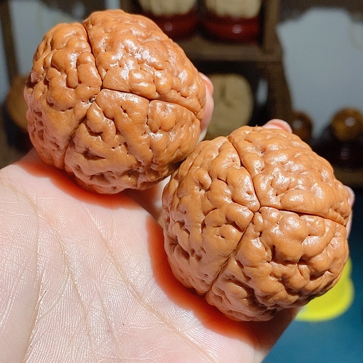 野生三瓣脑纹大金刚4448