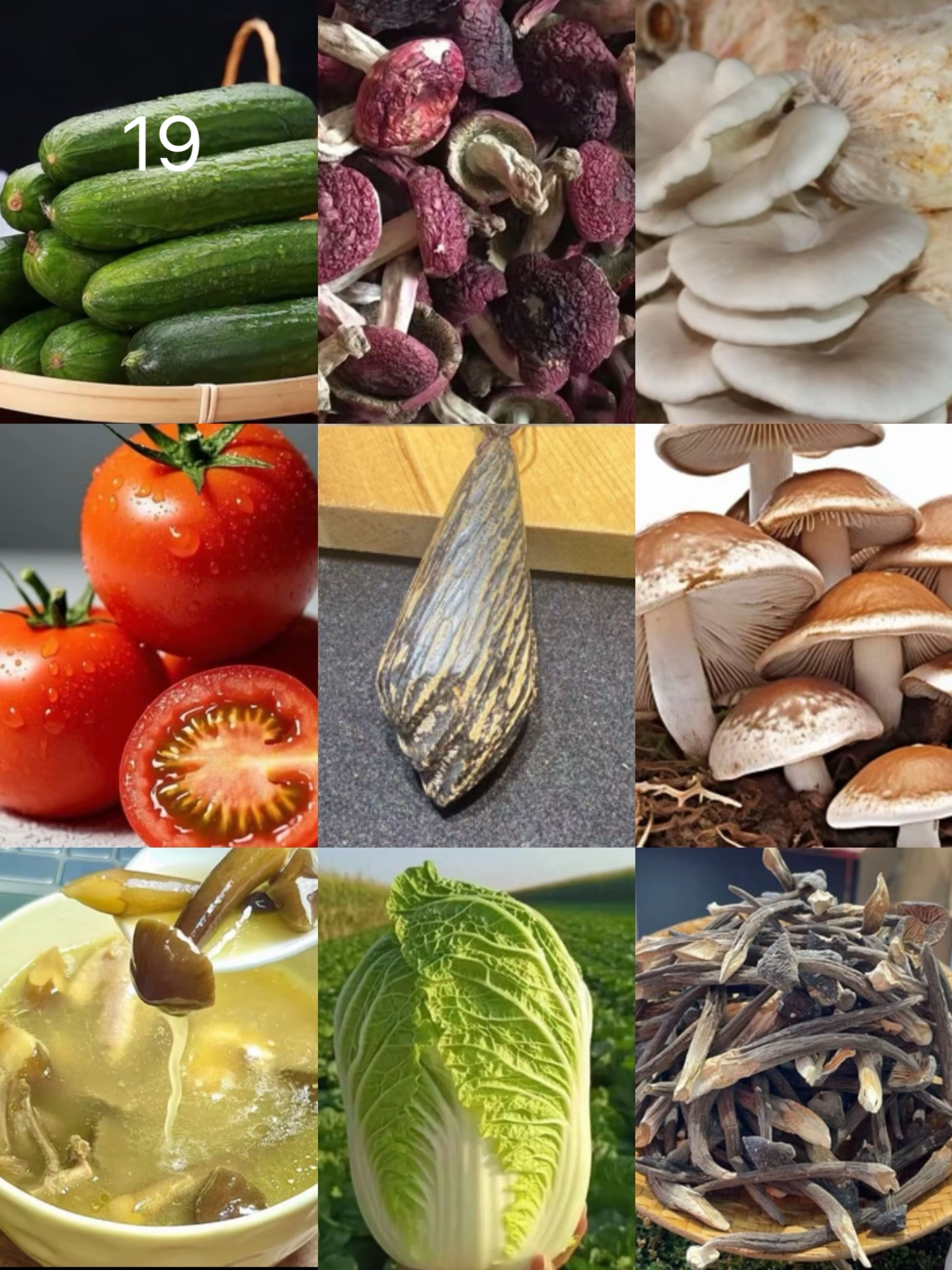 【小张专属土特产19】重量：15g