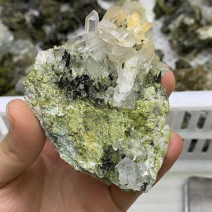 有机玻璃空中花园-009