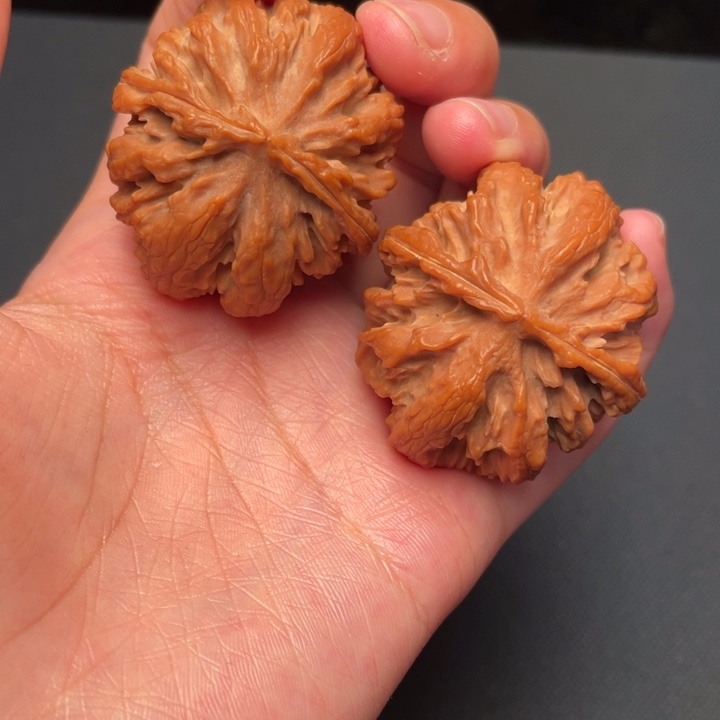 野生核桃文玩文玩
