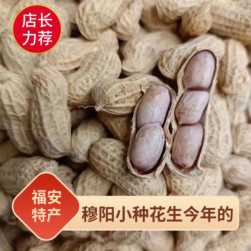 福安特产穆阳小种花生