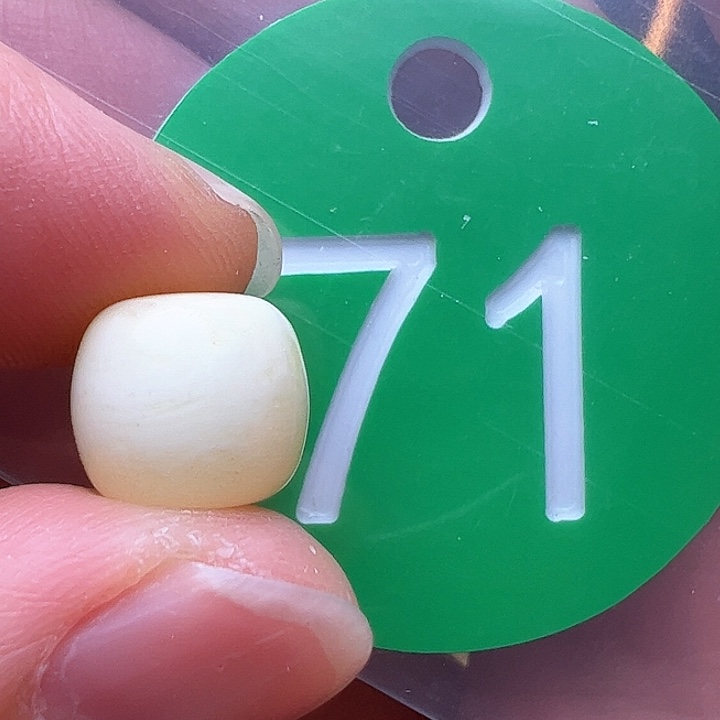 蜜蜡裸石未镶嵌宁**只10/9m m