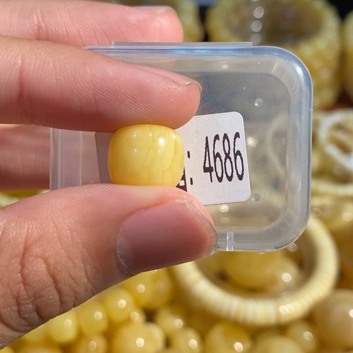 琥珀未镶嵌珠宝奇石4686