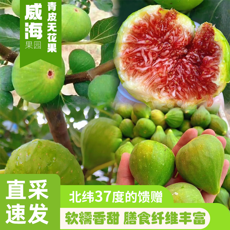 威海特产青皮无花果新鲜应季树上熟软糯香甜采摘顺丰空运现发水果