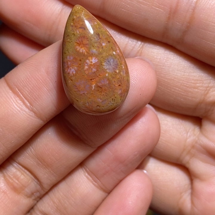 【闪购商品】未镶嵌珊瑚玉硅化玉