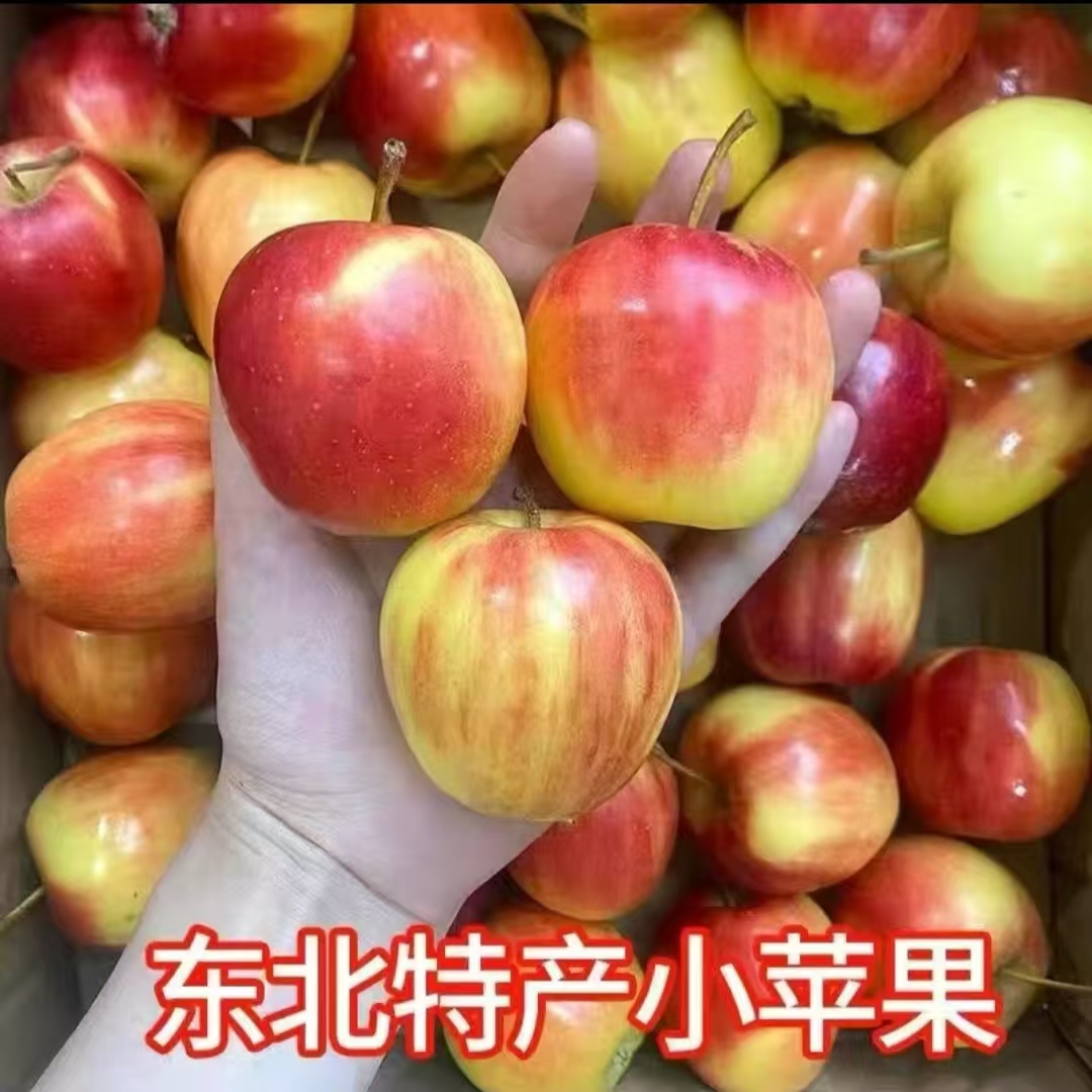 东北123小苹果新鲜当季小苹果孕妇水果面果小苹果一整箱包邮