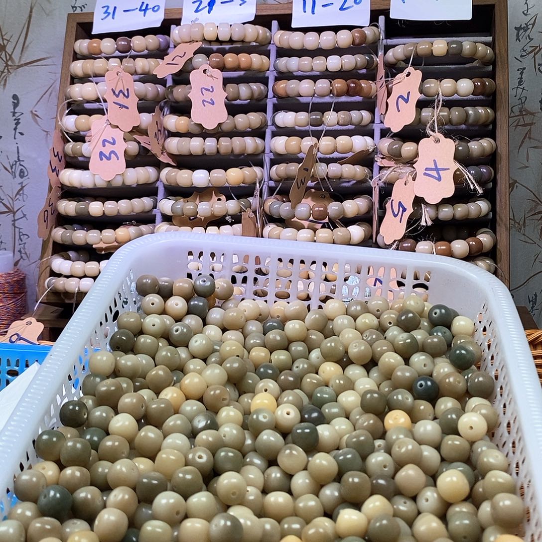 吊坠菩提根/象牙果