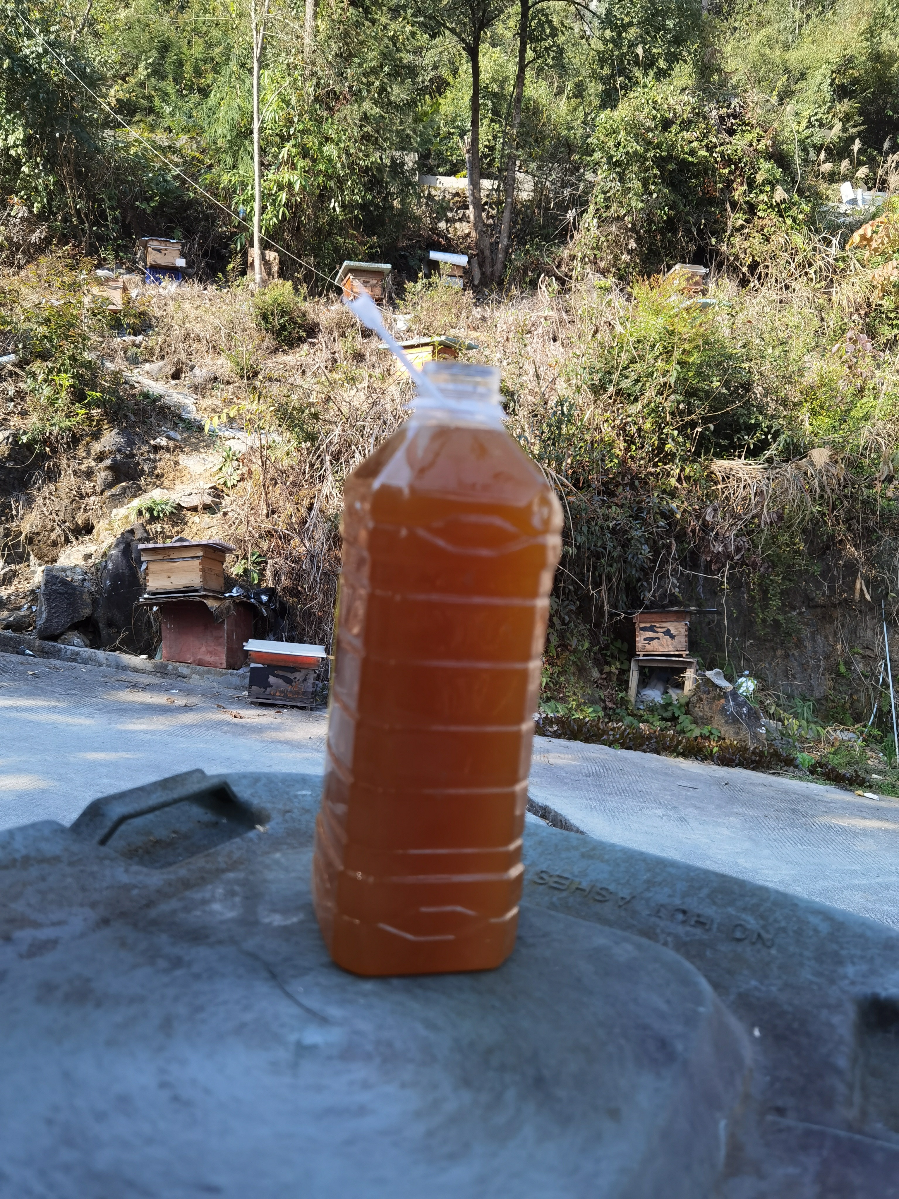 蜜蜂口粮中蜂度夏饲料养蜂人自己的饲料用蜜天然饲喂蜜蜂三斤装