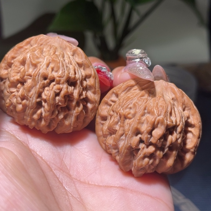 桃核把件S             42