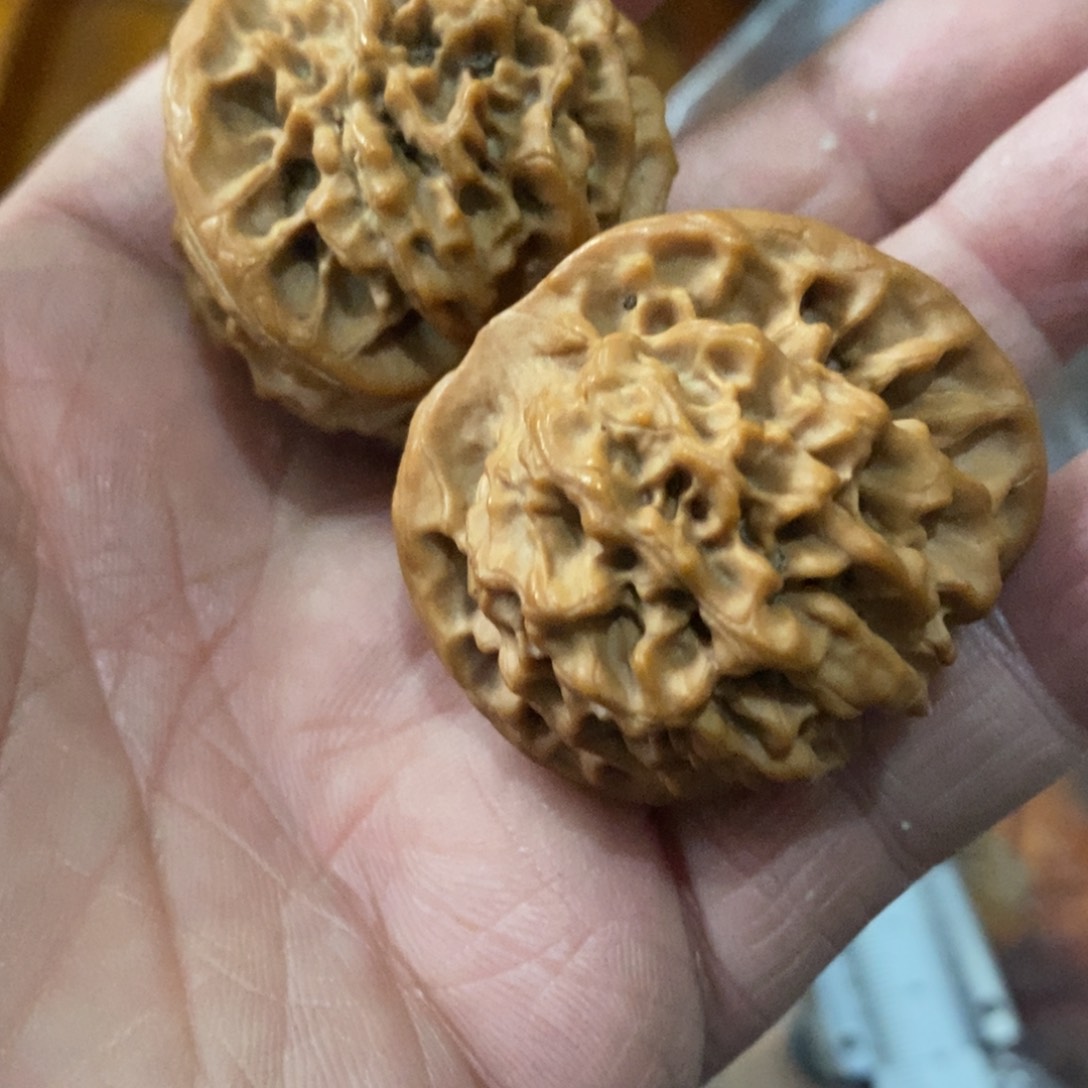 秦岭南北区有什么地方需要