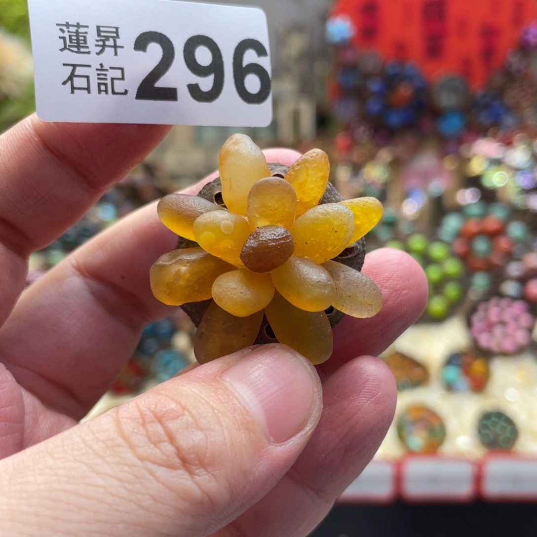 核桃木/黑胡桃（胡桃木）冰*梦296