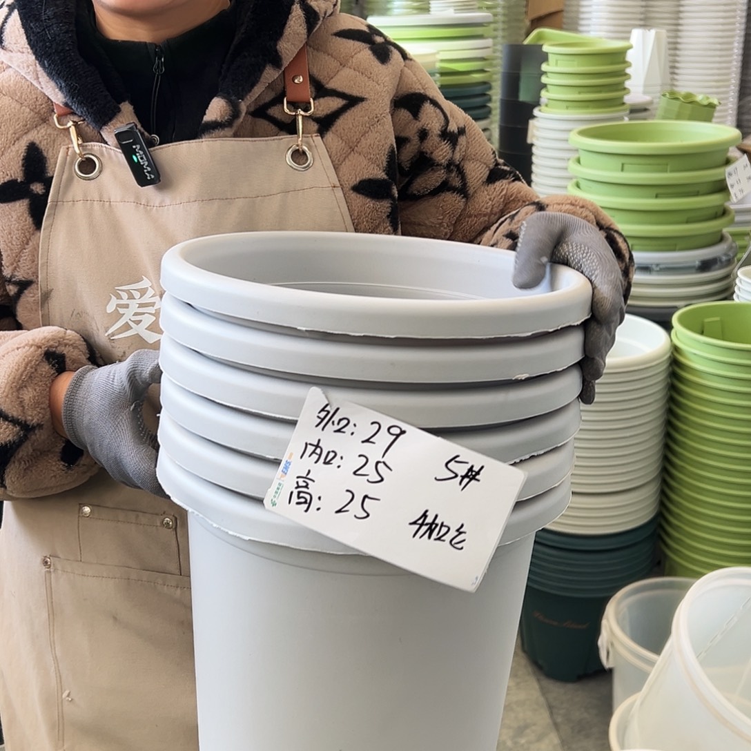 四季盆5#灰白色6个无托